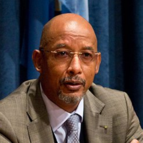 African Union Development Agency CEO, Dr Ibrahim Assane Mayaki