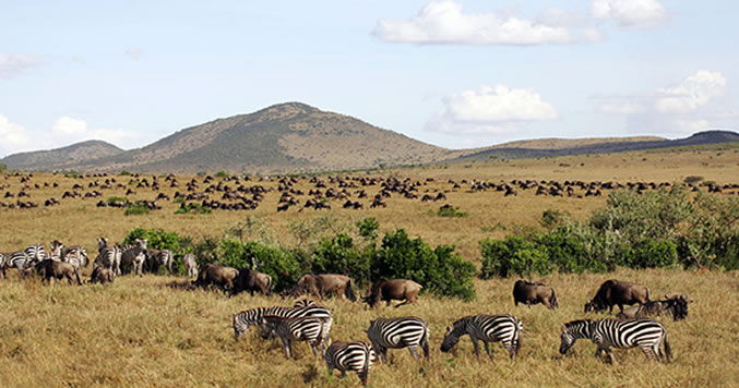 East Africa Tourism