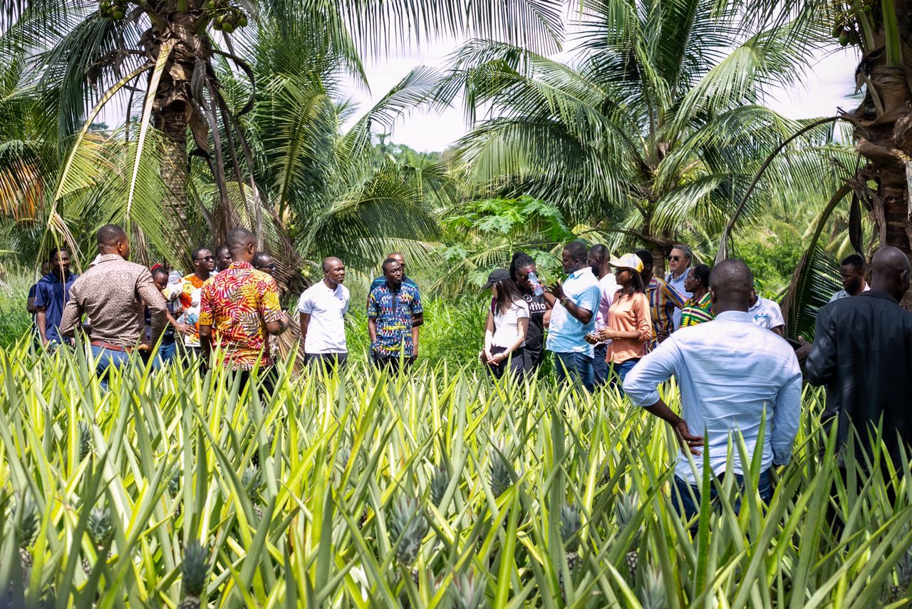 Digital agriculture